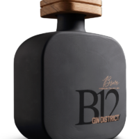 BRERA GIN DISTRICT 70CL